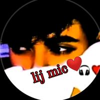 lij_mic2