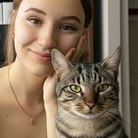 petmemoriesai