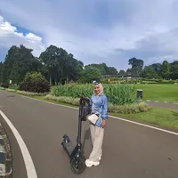 original sound - ningsih5640