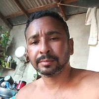 animao161