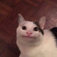 âm thanh gốc - Nhạt Như Biển Đông