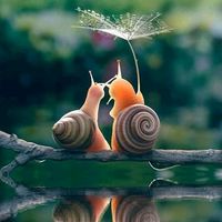 chalala_love.gf
