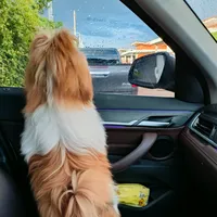 original sound - nut_ta_nut