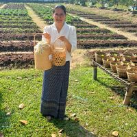 เสียงต้นฉบับ - Phawikaphat Wannasaeng