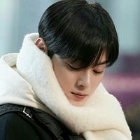 cha._.eun._woo