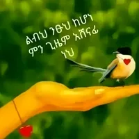 original sound - bh65567