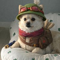 9_timo