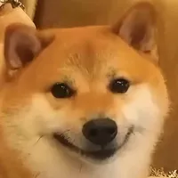 original sound - sipeeer