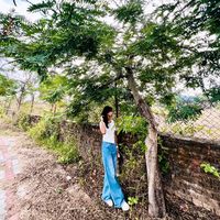 nehachy66