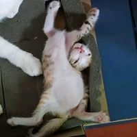 nhạc nền - Minh oiii em nhớ anhh