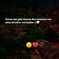 orijinal ses