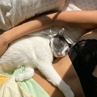 original sound - laraajweb