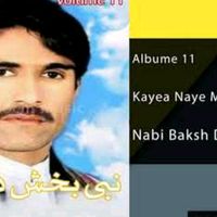 nabibakh0