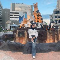 suara asli - rupa.sky00