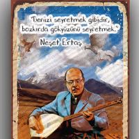 orijinal ses