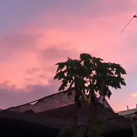 original sound - gamblingaddiction067