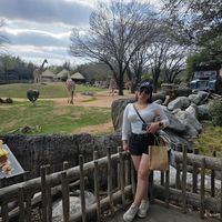 ferjipadilla_2002