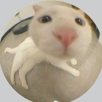 오리지널 사운드 - 뮤지성