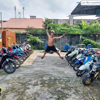 kong2499nk