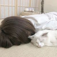 原声 - 탕 장메이👶