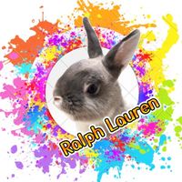 ralphtoralph