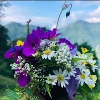 manisha.ghaley3