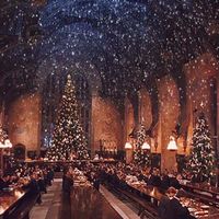 hogwarts.expressxq