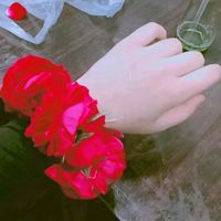 itx_nishu_0