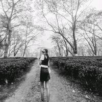 _rider._.yankee