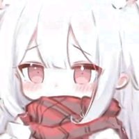 user92638264920