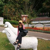 yingsenghan8