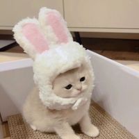 オリジナル楽曲 - にゃん