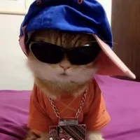 original sound - ojeda0560