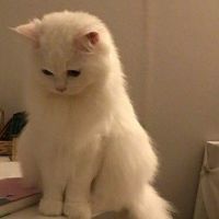 オリジナル楽曲 - 未姫  .