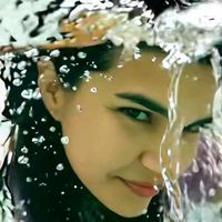 cissa55_
