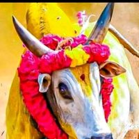 original sound - 💝🌹🌾Muruges Muruga💝🌹🌾