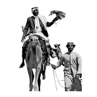 original sound - iz1vl