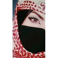 alanod_711