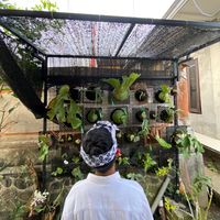 suara asli - Dee