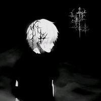 .vnsolo