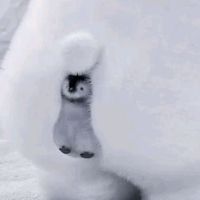 1120_love