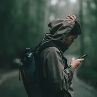 original sound - frankfossil