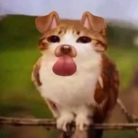 original sound - 1ibrahimek