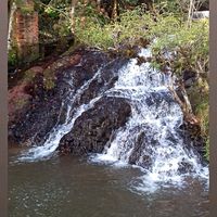 chaianepereira5