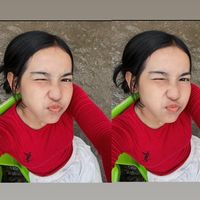 pich6187