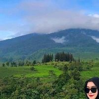 suara asli - P E L Y P O R