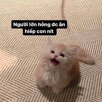 nhạc nền - Ánh Vũ Hoàng scaramouche