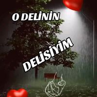 bir.delinin.delisi25