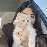alshemrii4