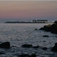 오리지널 사운드 - 🇰🇷추천바다 🌊